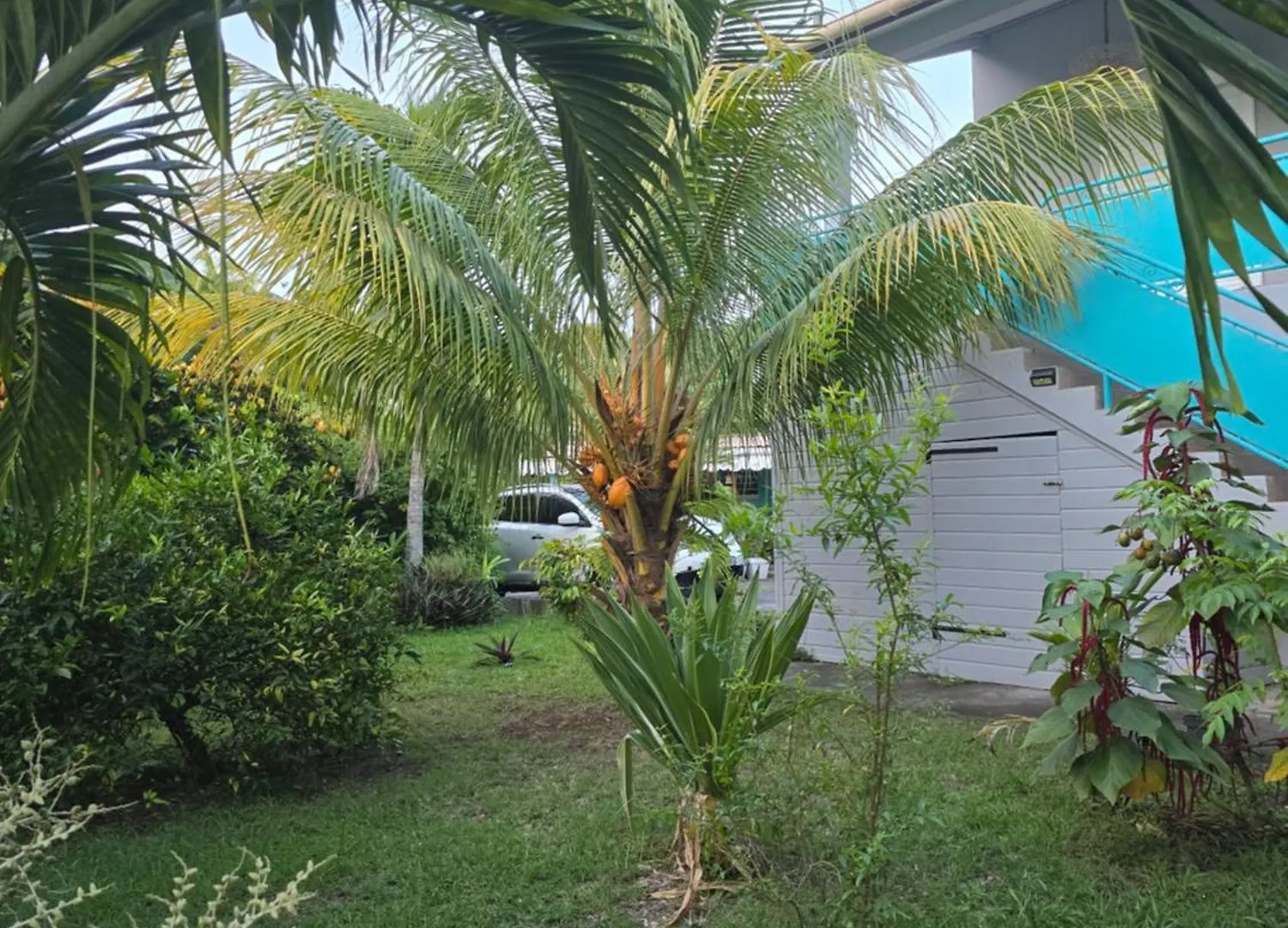 Kay La Douce Villa 4 Chambres Piscine A 200M De La Plage Les Trois-Ilets Holiday home